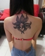 fanfan9191