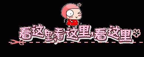 三吋金蓮四吋銀蓮五吋鐵蓮喜歡什麼尺吋加賴告訴小c_北部茶訊/樓鳳