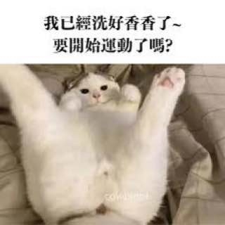 哥哥我在呢  📲賴🔍viaviamm